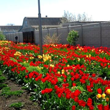 Продаж 4к Дім вулиця Нова