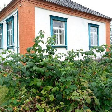 Продам будинок у м Василькові! Не дача!!!