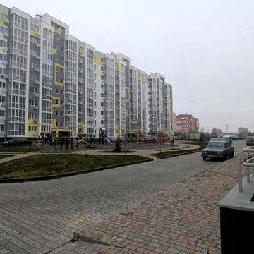 Оренда квартири в новому будинку на Браїлках. ЖК Пелюстковий.