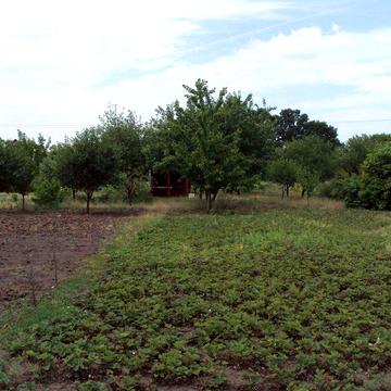 Продам дом в живописном месте