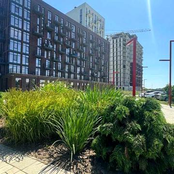 Сдам студию в Пространстве на Радостной