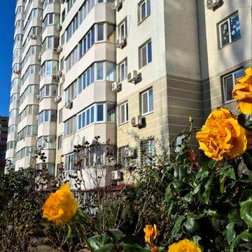 Новый дом. Паркинг.Генератор