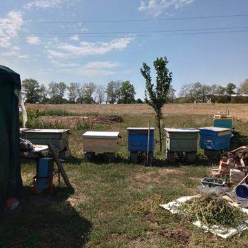 Продам домик  тихое место