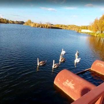 Продам будинок зі своїм берегом Придніпровск,Стара Ігрень,Чаплі.