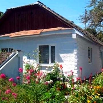 Продаж будинку с.Підлісне 41сот. землі, ставок