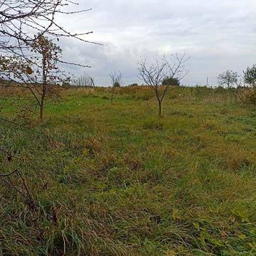 Продаж будинку Пустомити