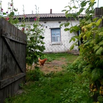 Будинок Чернігівська обл. с. Виблі.