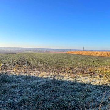 Продається будинок з підсобними приміщеннями.