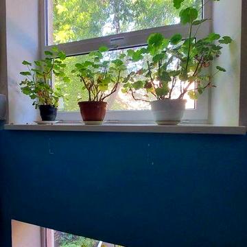 Продам свою хорошую 1комнатную Универмаг,можно по программе