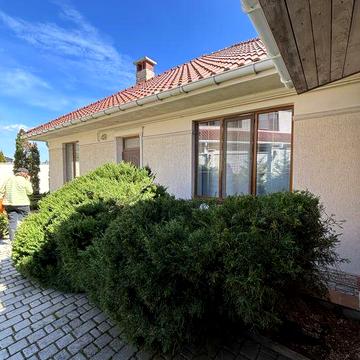 Здам в оренду будинок в Совіньйоні