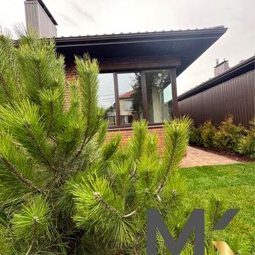 Шевченкове будинок 10 хв до Києва