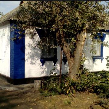 Продається будинок з діючим бізнесом (магазин-кафе)