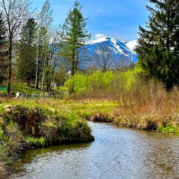 Стара Гута, Івано-Франківський, Івано-Франківська область 52700.0 USD