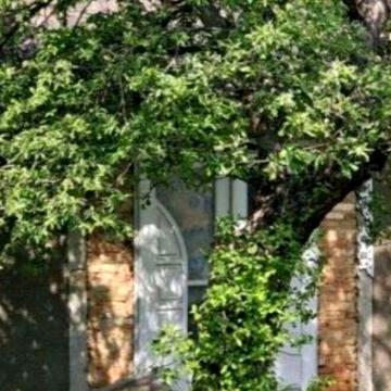 Здам дім два будинки під Чернівцями