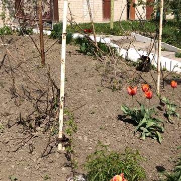 Аренда 2 комнаты, газ котёл