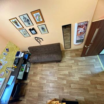 Камянецька вул., 43