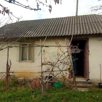 Дача біля лісу с Рибне.