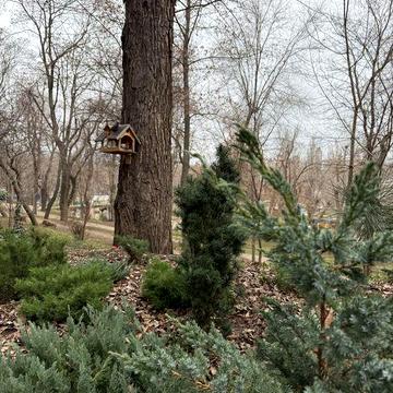 Парк Глобы, центр, Старокозацкая (Комсомольская) без комиссии