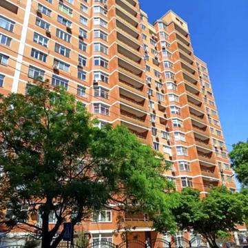 Однокімнатна квартира, Нагорний, Центр, Парк