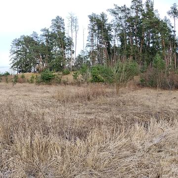 Ковпаківський, Суми, Сумська область 42000.0 USD