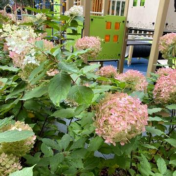 1-к квартира з продуманим плануванням! Комплекс біля лісу м. Ірпінь ЖК Q10 IRPIN