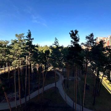 ЦЕНТРАЛЬНЫЙ! Большая 3х комнатная квартира, все окна на парк