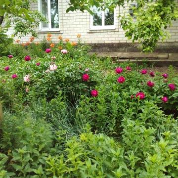 Продається будинок в с. Любимівка Криворізький район