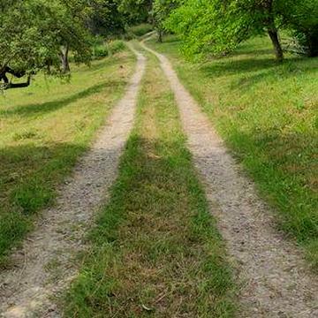 Будинок  та земельна ділянка