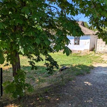 Квартира/будинок, з ділянкою. смт. Іванівка