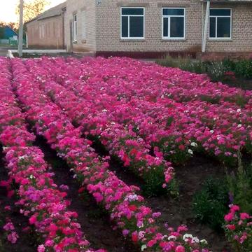 Продається двоповерхова нежитлова будівля з гаражами.