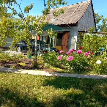 Дача,ухоженная.Недорого.