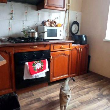 Котельникова, 2-к хорошая раздельная квартира, метро Святошино