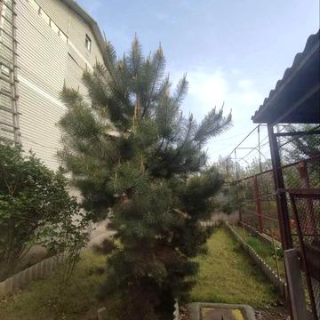 Рожева вул.