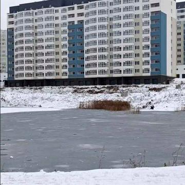 Продаж 2к Озерна Рауш Терміново 41981 ЖК Рауш