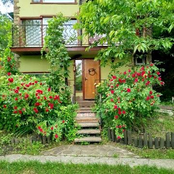 Здам екобудинок 2 з половиною поверхи