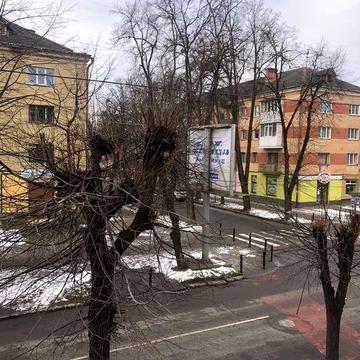 Здається 1-но кімнатна квартира на вул бельведерська.