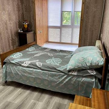 Здається однокімнатна квартира в центрі