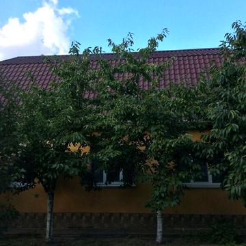 Продаж 5к Дім Ситниченка провулок