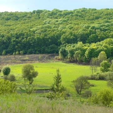 40км КИЇВ будинок с. Велика Вільшанка