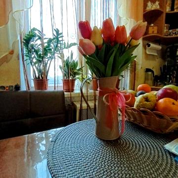 1-кімнатна квартира | 35 м² | Чехова-Шевченка