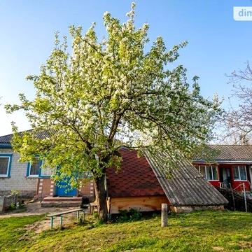 Продаж 3к Дім Дубівка вулиця