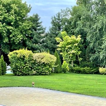 Самоцвітна вул. (Сахалінська)