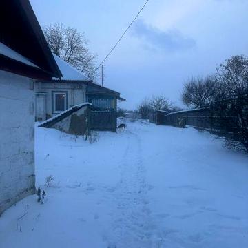 Продам будинок в селі Требухиів