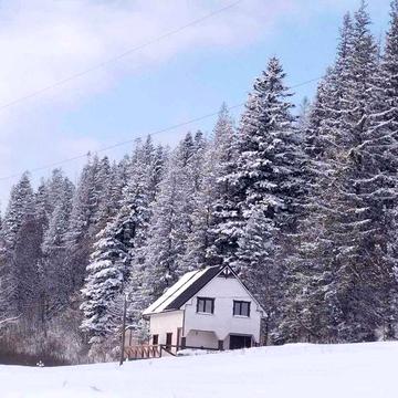 Затишний будинок в Микуличині від власника