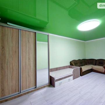 Довгострокова оренда 1к Квартира Панаса Мирного вулиця