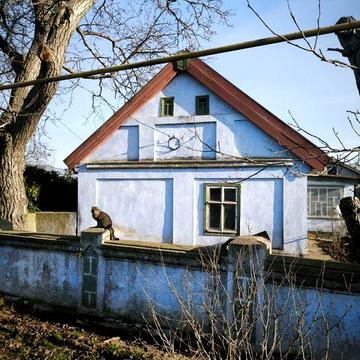 Продається два будинки в центрі с.Великий Дальник