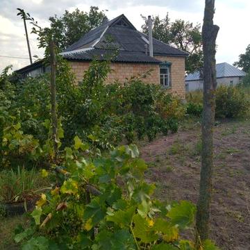 Терміново! Продам будинок с.Іванків Бориспільський р-н.