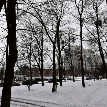 здам однокімнатну квартиру проспект Берестейський 74