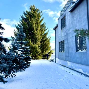 Оренда 3-х пов. БУДИНКУ-ДАЧІ у самому лісі. СВІТЛО  Є ЗАВЖДИ!!! Аренда