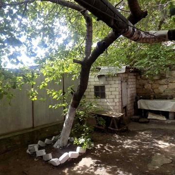 пров. Шкапіна